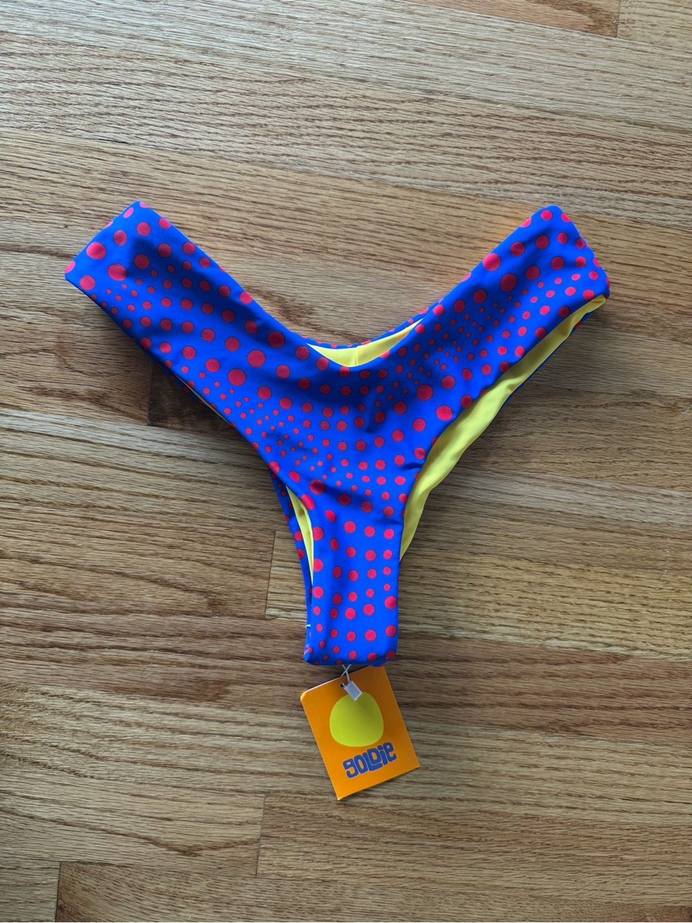 Goldie Women’s Swim Bikini Bottom in Blue with Red Dots. Yellow interior